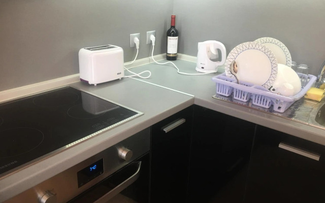 Stylish spacious flat