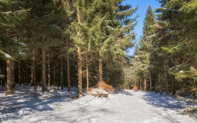 Wichtelhus-Apartement&Ferienwohnung