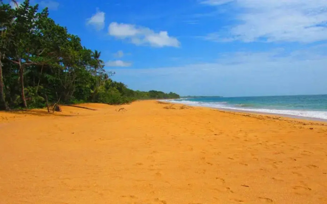 Bluff Hidden Paradise