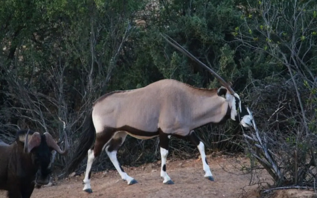 Zwartberg View Mountain Lodge