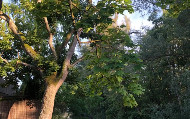 Riverside apartment in central Herzogenaurach