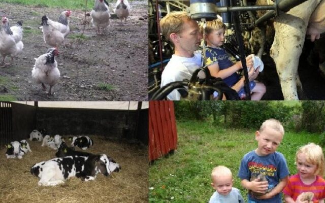 Hveddegaard Farm Holiday