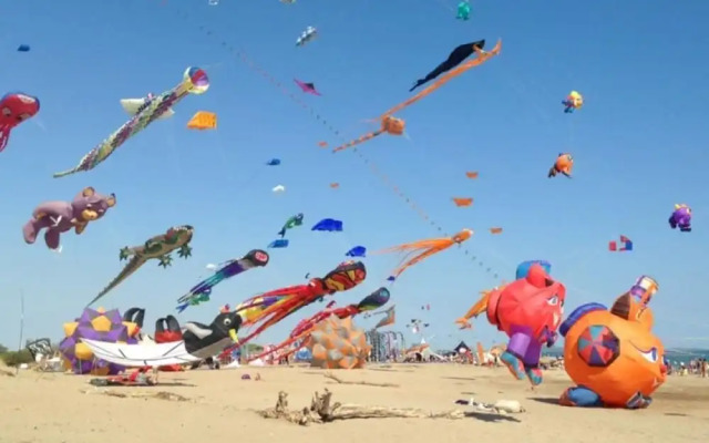 Appartement Magnolia