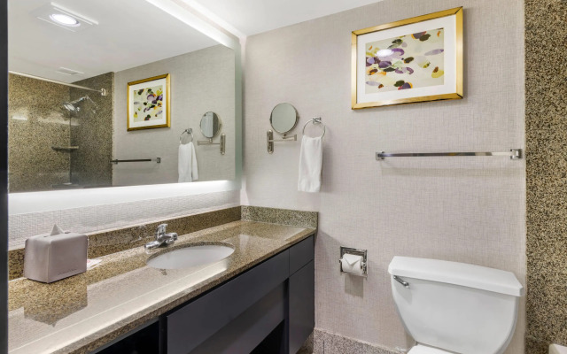 Comfort Inn Brooklyn Center