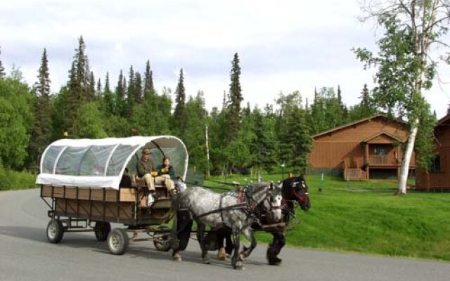 Mt. McKinley Princess Wilderness Lodge