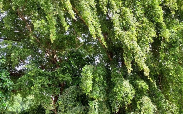 Confort Y Relajacion