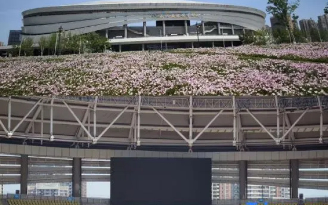Yeste Hotel (Wuhan Wujia Mountain Five Rings Sports Center) – Outside – Wuhan