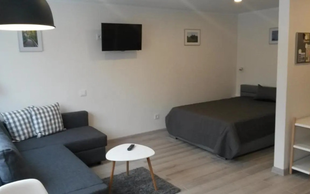 Anykščiai Center Apartment