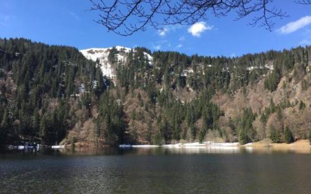 Berghaus Feldberg "Titiseeblick"