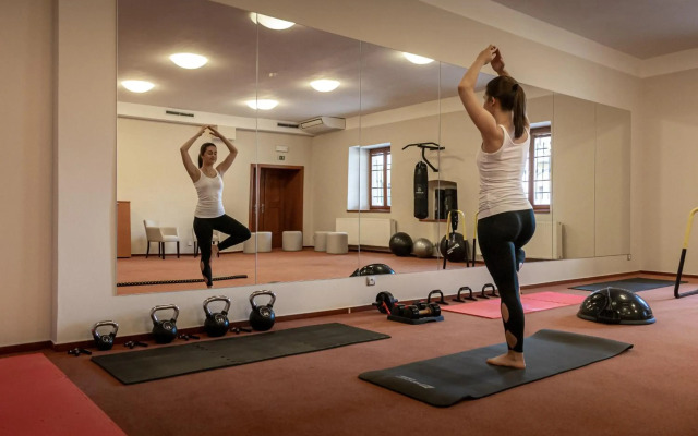 Wellness Hotel Volarik