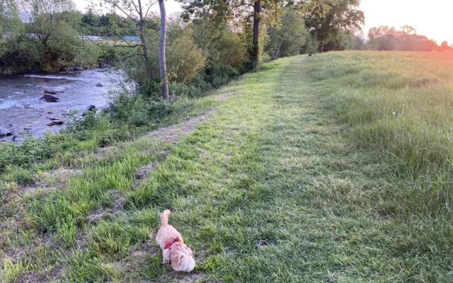 Uitzicht op het Zwembad