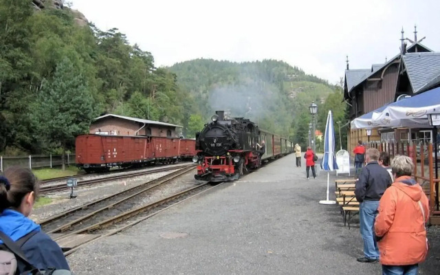 Schwarzer Bär