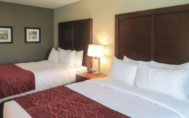 Comfort Inn & Suites