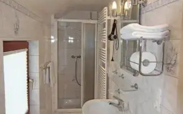 Auster