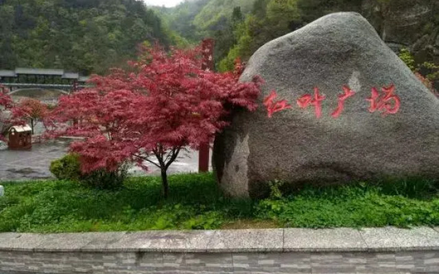 Nanjiang Fengyun Hotel