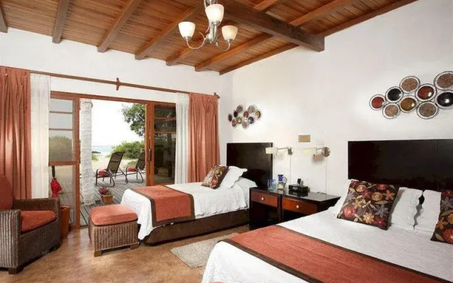 Red Mangrove Isabela Lodge