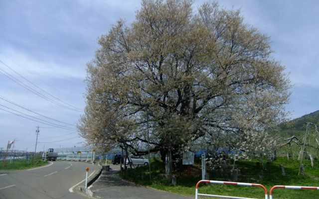 Shiga Park Hotel