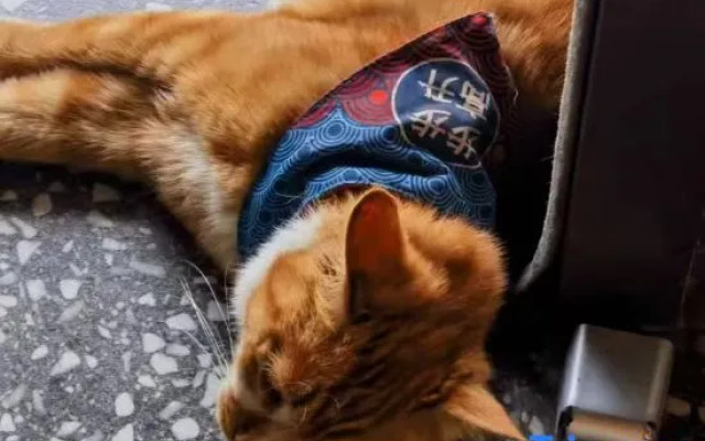 Zhi Xin Fu  Wen Quan (Xinzhou Gucheng Store)