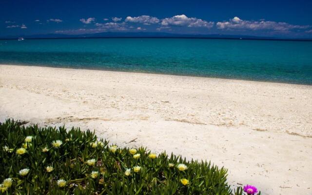 Paradise Family House in Chalkidiki Chanioti