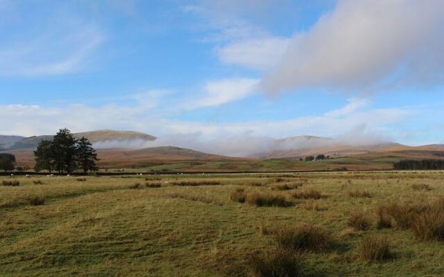 The Knowe B&B