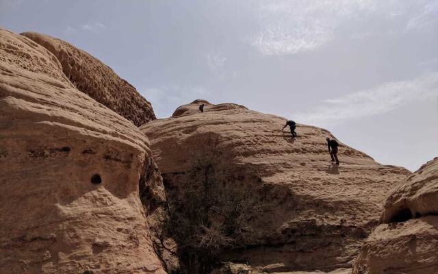 Bedouin Roads Camp