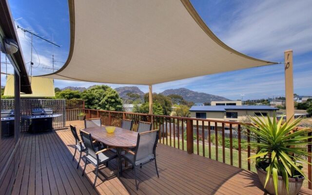 Dove on Freycinet