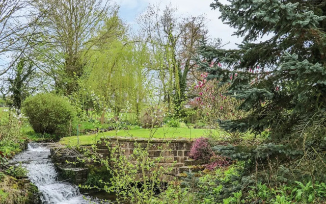 Pond View