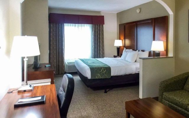 Comfort Suites Inn at Ridgewood Farm