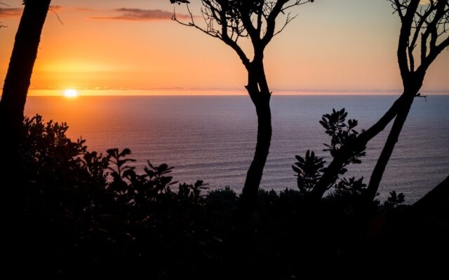Muriwai Beach Memories