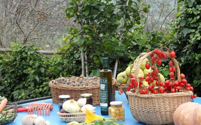 Margherita Holiday Home