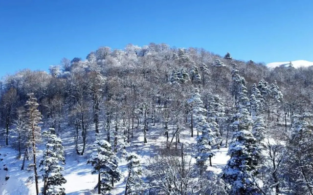 The Valley Resort Bakuriani (Didveli)