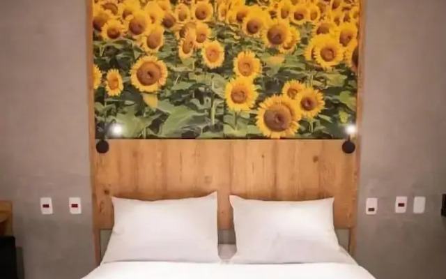 Campos De Holambra Inn