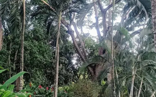 Finca Hotel La Estancia