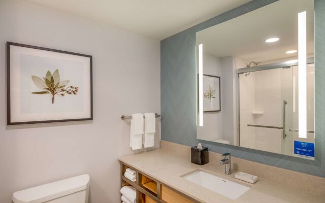 Hilton Garden Inn Toledo Downtown