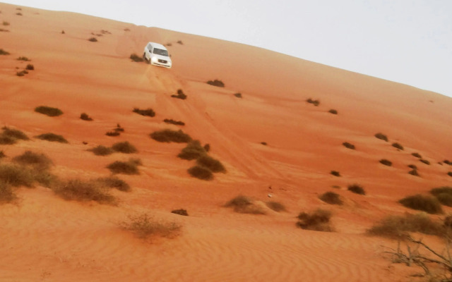 Sand Delight Desert Camp