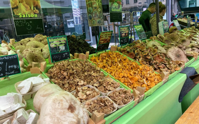 Charmantes Wiener Jugendstilhaus kostenloses WLAN