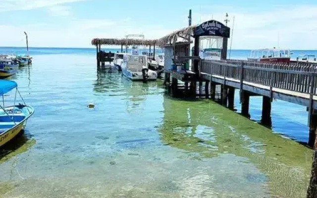 2 bedroom apartmen in the heart of west end!