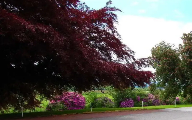 The Urr Valley Country House Hotel