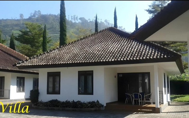 New Mountain Springs Hotel & Resort