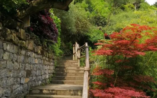 Jinfoshanwenquanjiari Hotel