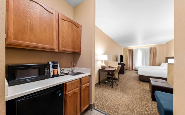 Comfort Suites Roanoke - Fort Worth North