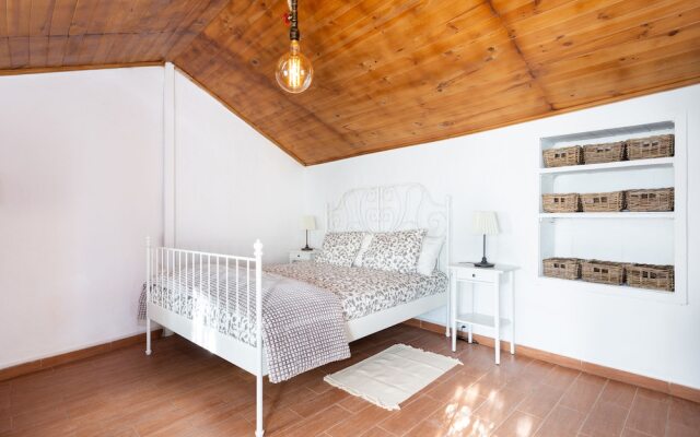 Homelike Rustic House Orchard And Wifi