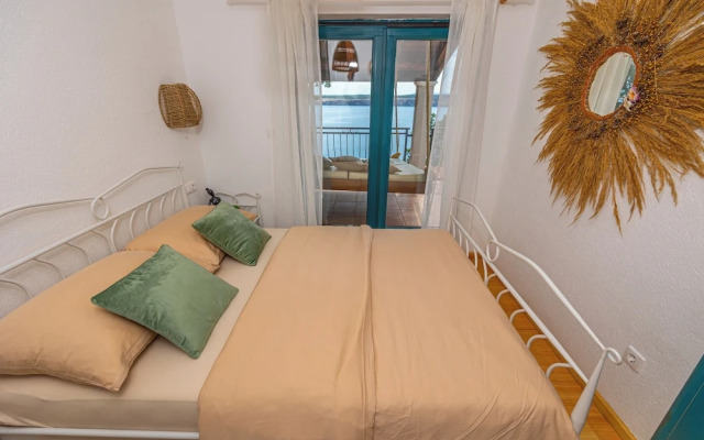 Villa Cikas Palmhouse