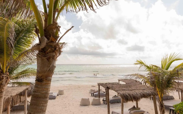 Nest Tulum