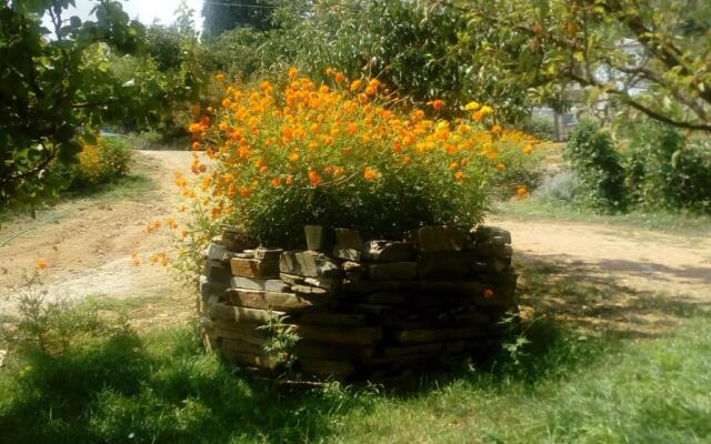 Spiros Apartments Pelion