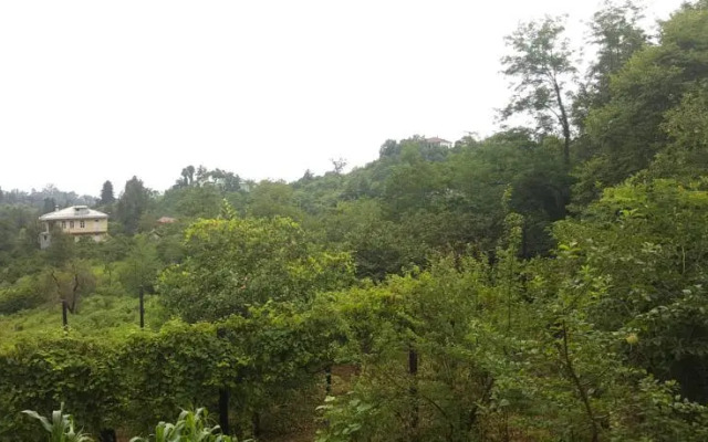 Bambarbia Guesthouse