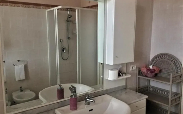 I Girasoli di Migliarino