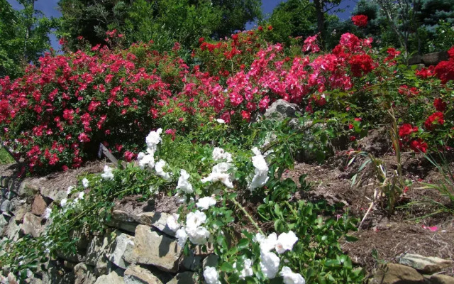 Les Jardins de L'abbaye