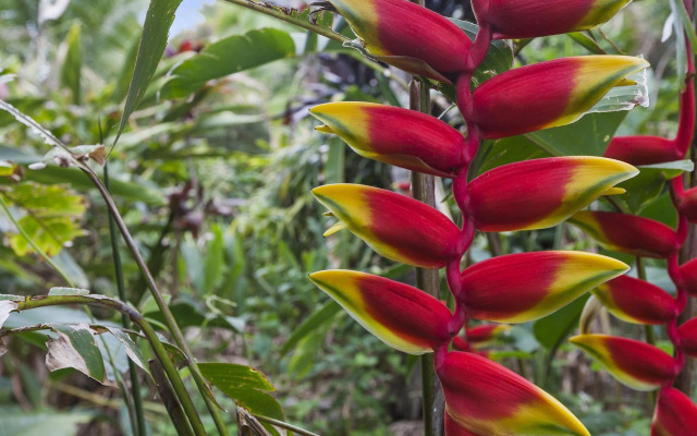 The Country House at Hunchy Montville
