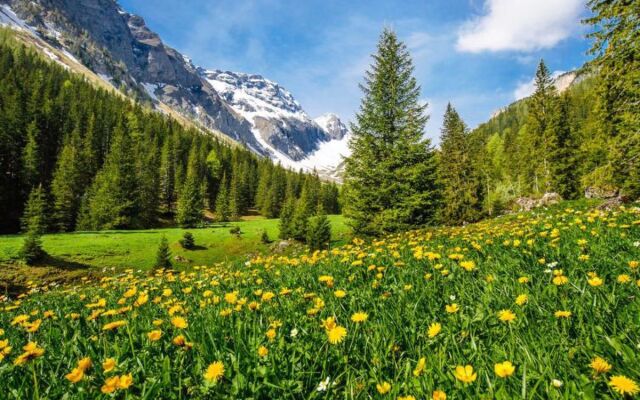 Apartment Wildbach Lenk